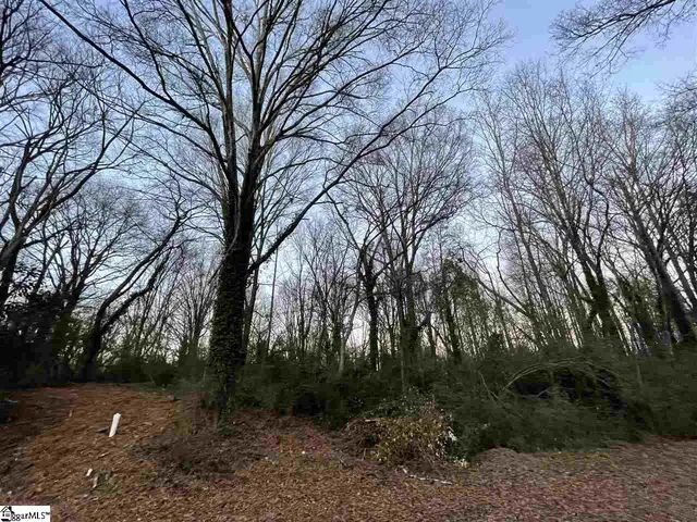 $165,000 | 0 Mr Jim Lane, Clinton, SC 29325