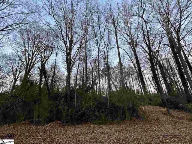 $165,000 | 0 Mr Jim Lane, Clinton, SC 29325