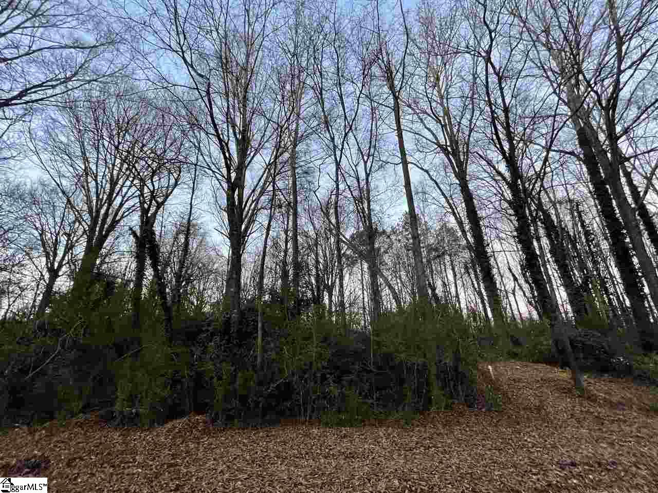 0 Mr Jim Lane Clinton, SC 29325 - Photo 7 of 7