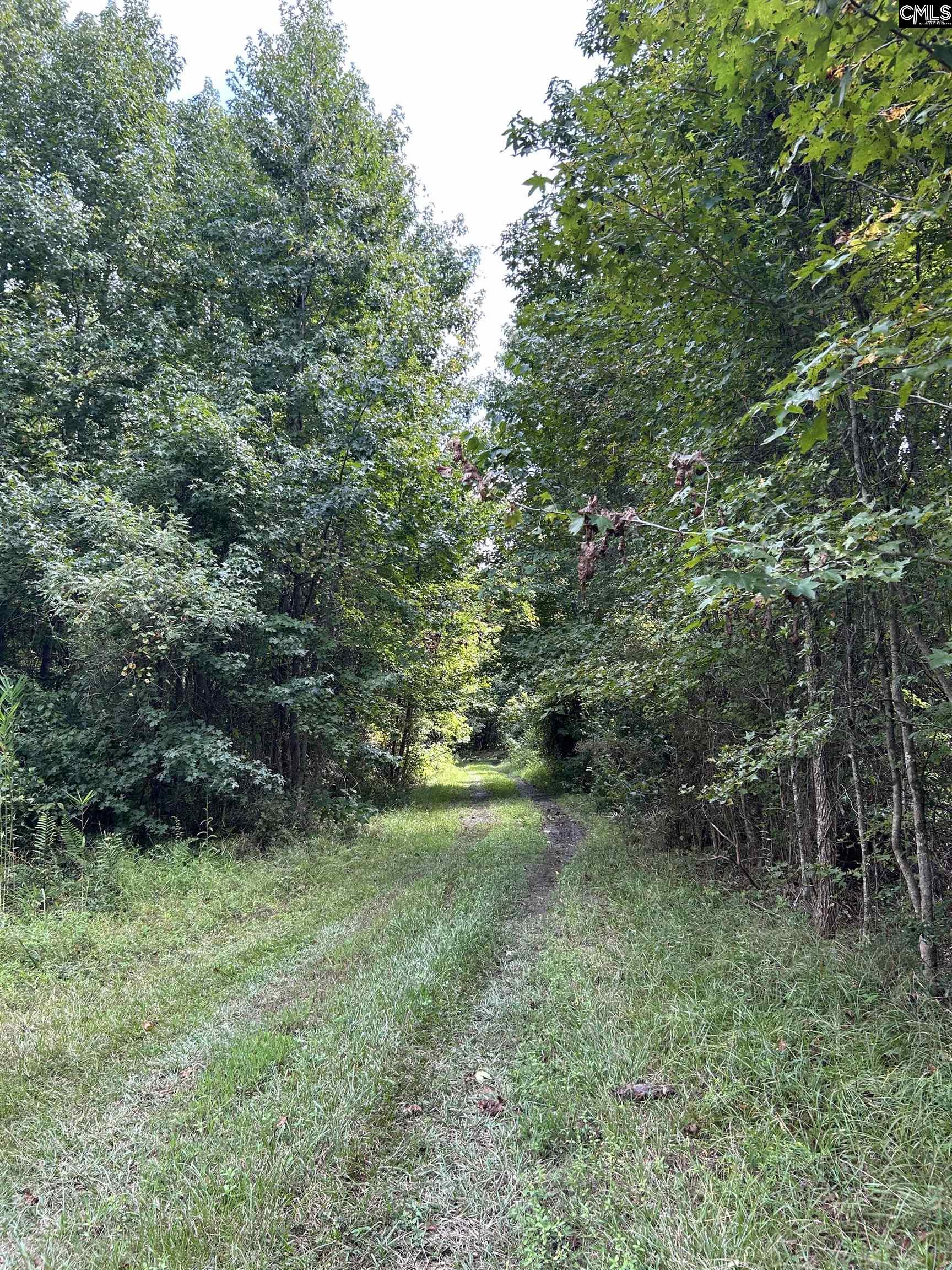 8200 Salem Road New Zion, SC 29111 - Photo 6 of 17