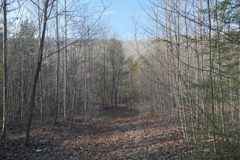 Tbd Poor Valley Road, Unit 118A9 Ceres, VA 24318 - Photo 27 of 38 Gallery Image 27