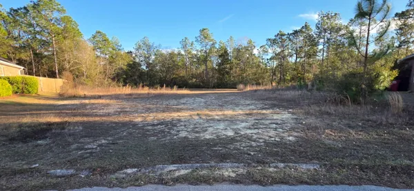 a view of a yard with a tree