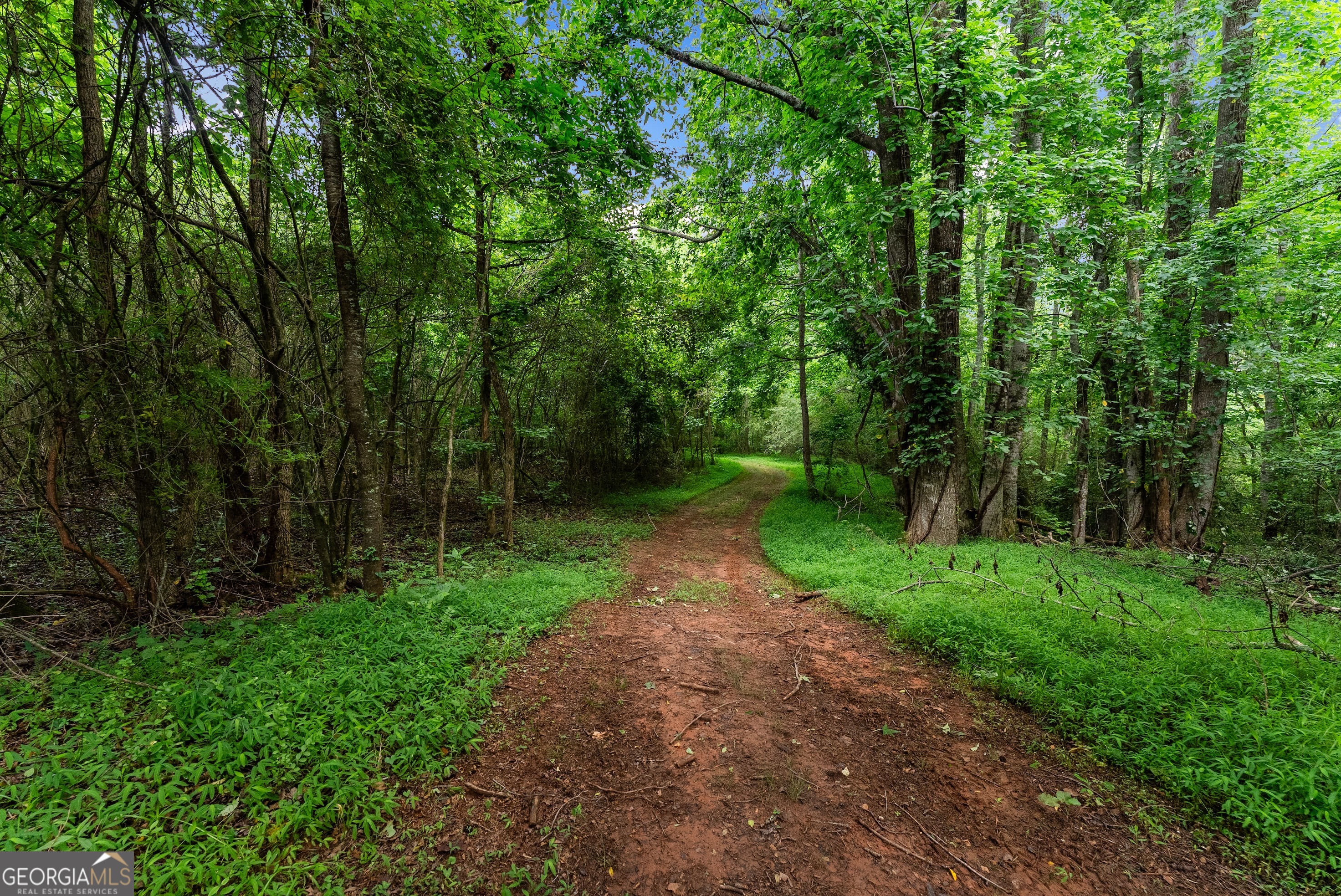 0 Hubert Harris Road Cornelia, GA 30531 - Photo 11 of 19 a view of a yard with large trees