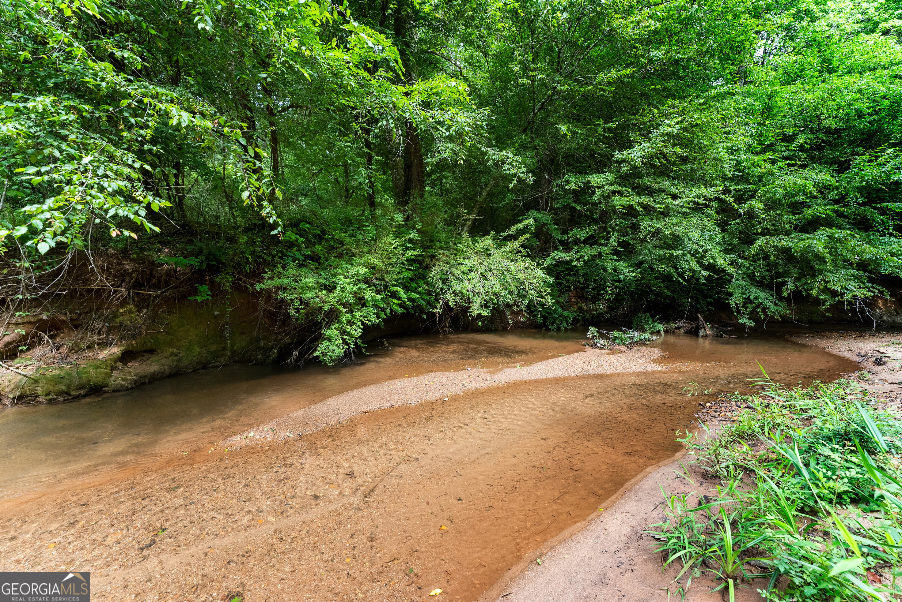 0 Hubert Harris Road Cornelia, GA 30531 - Photo 7 of 19 a view of a yard with plants and large trees