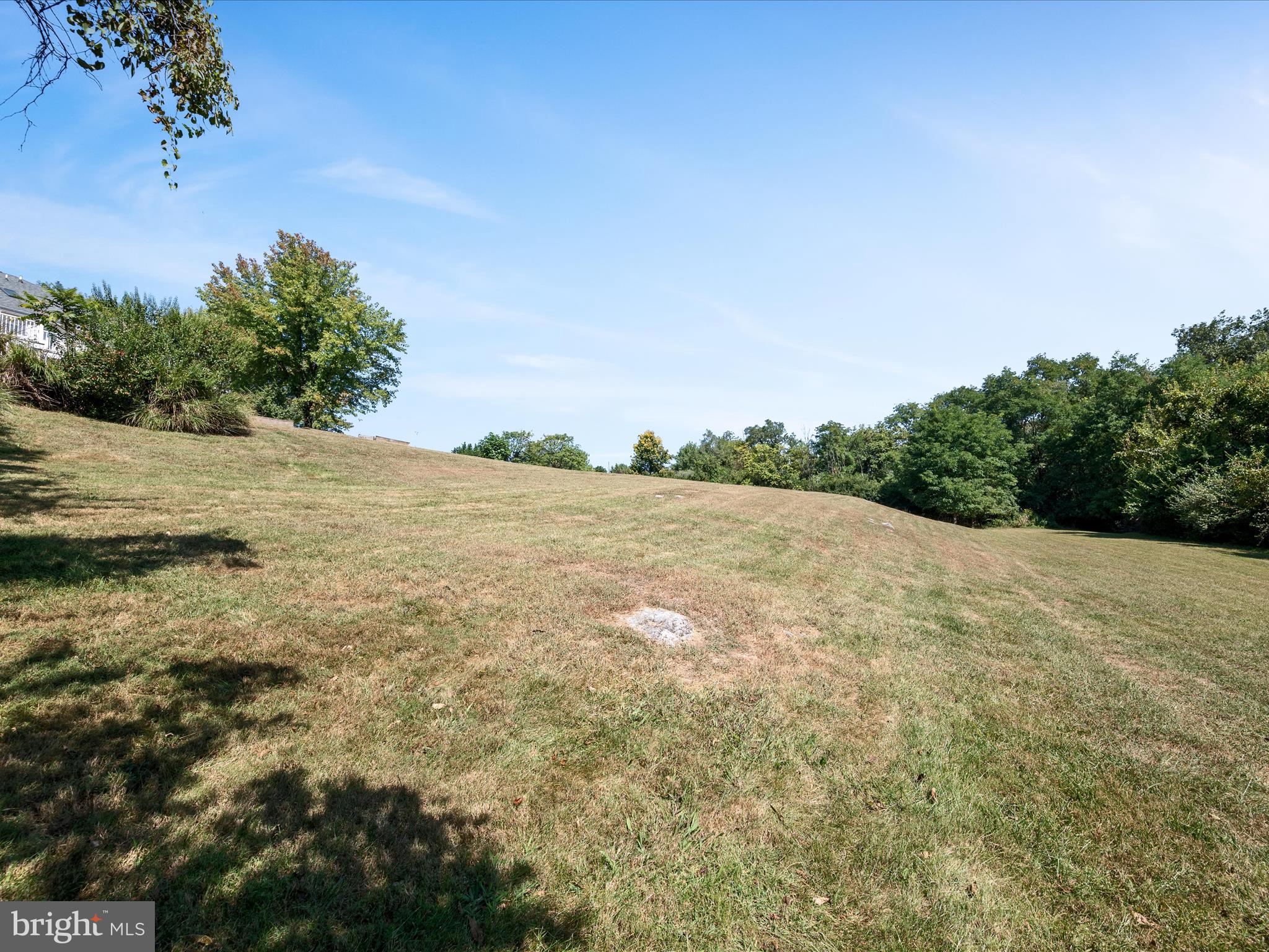 252 Punkin Ridge Drive Clear Brook, VA 22624 - Photo 21 of 80 Backyard