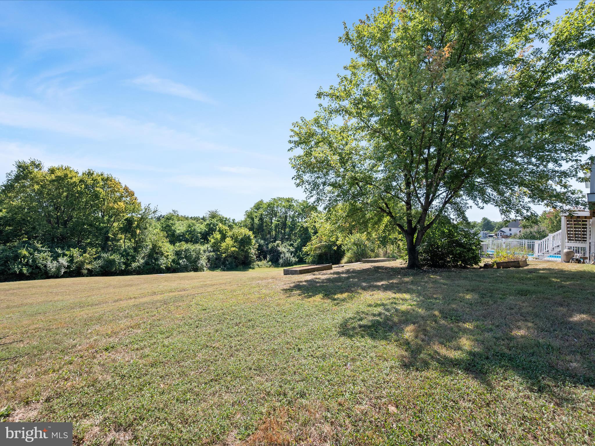 252 Punkin Ridge Drive Clear Brook, VA 22624 - Photo 23 of 80 a view of a yard with a tree