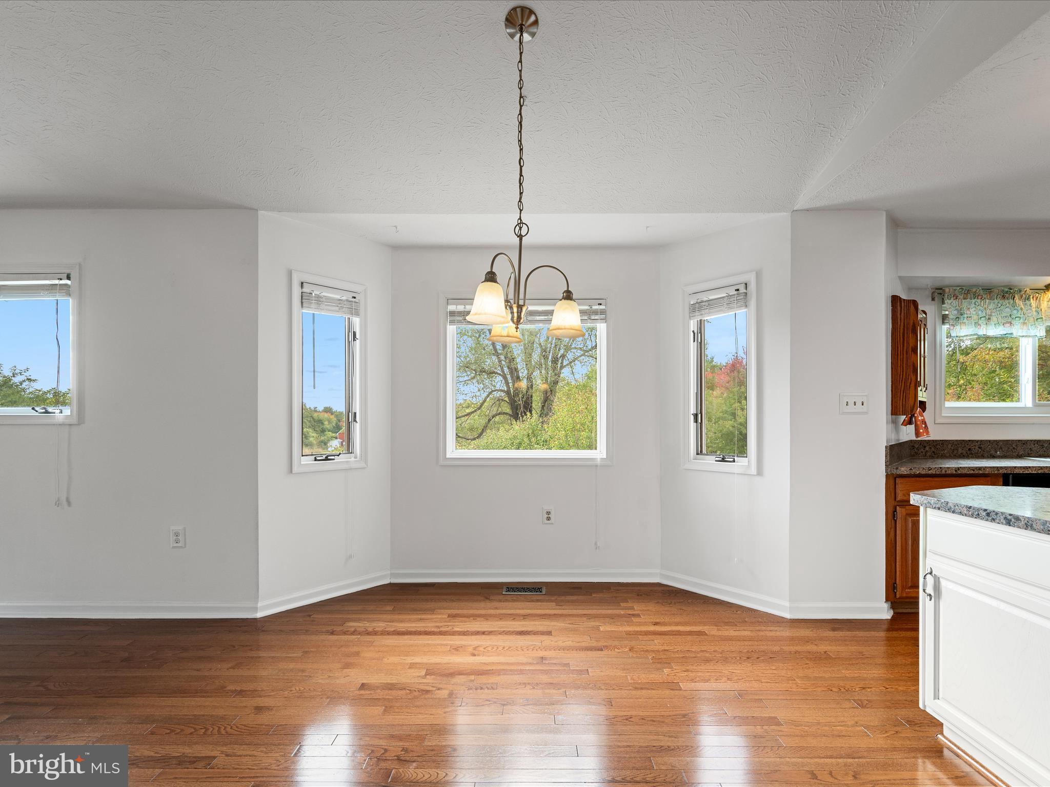 252 Punkin Ridge Drive Clear Brook, VA 22624 - Photo 43 of 80 a view of an empty room with window and hardwood floor