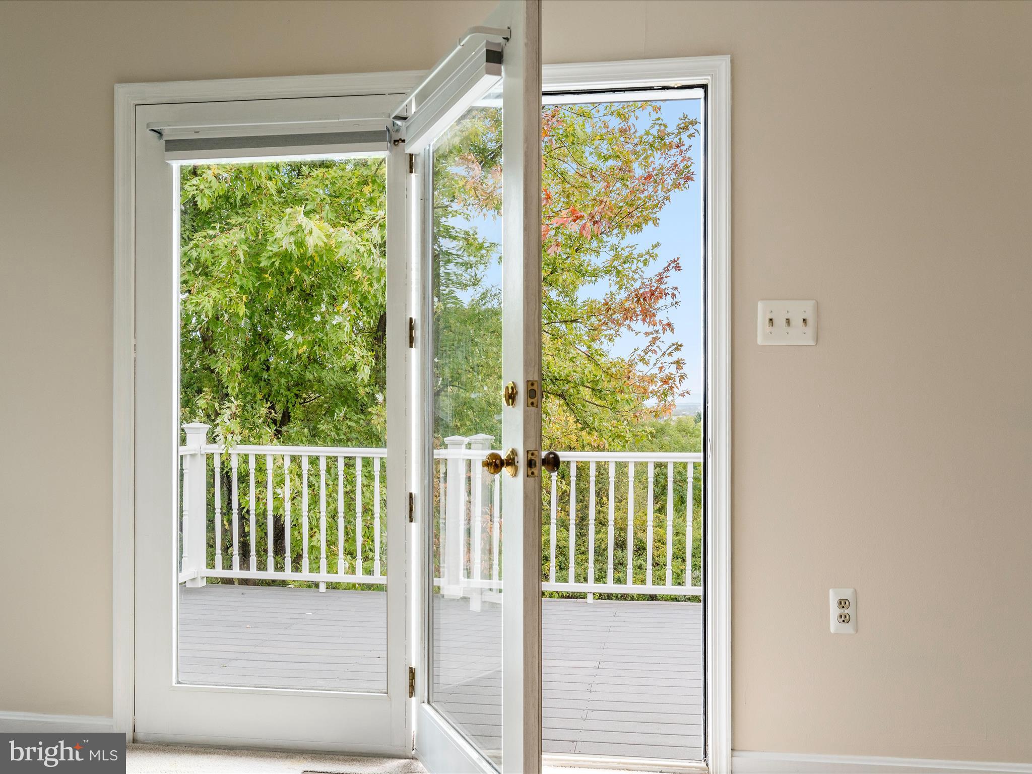 252 Punkin Ridge Drive Clear Brook, VA 22624 - Photo 49 of 80 Primary Bedroom