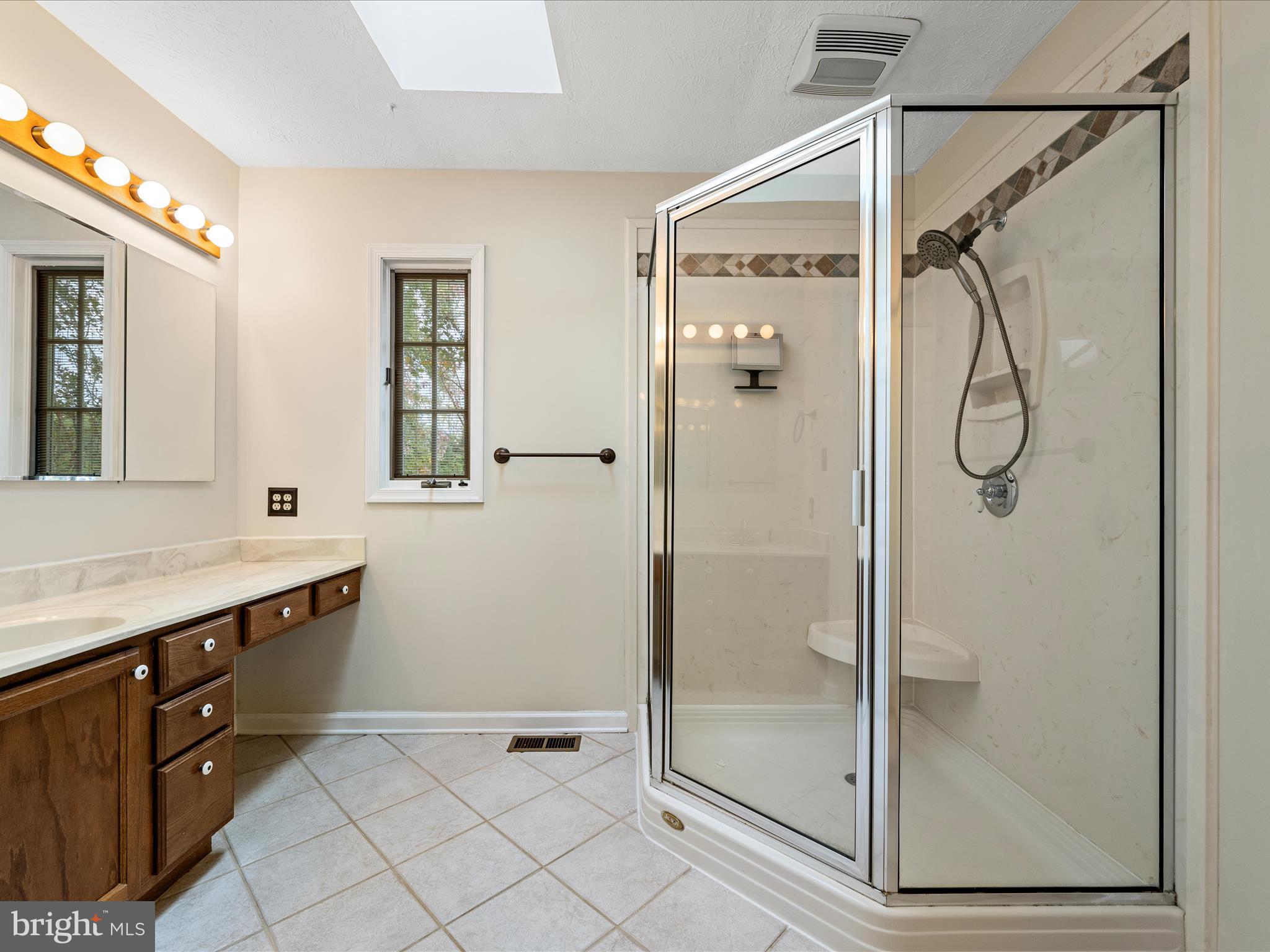 252 Punkin Ridge Drive Clear Brook, VA 22624 - Photo 52 of 80 a bathroom with a shower sink and mirror