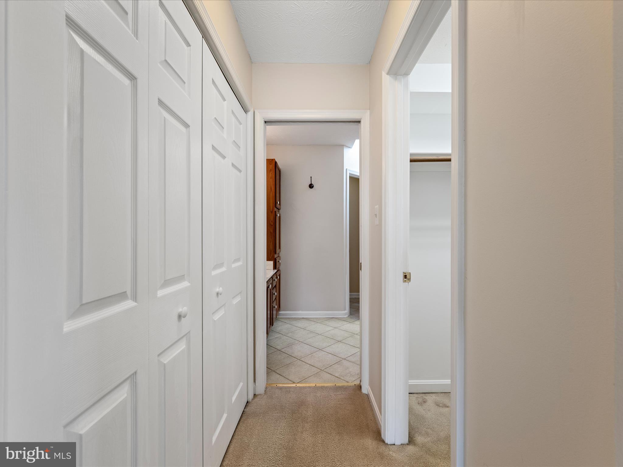 252 Punkin Ridge Drive Clear Brook, VA 22624 - Photo 54 of 80 Hallway