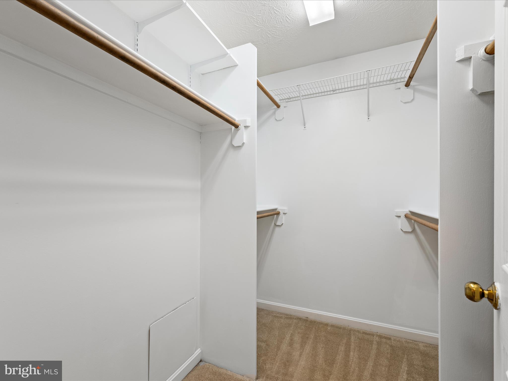 252 Punkin Ridge Drive Clear Brook, VA 22624 - Photo 55 of 80 a view of walk in closet