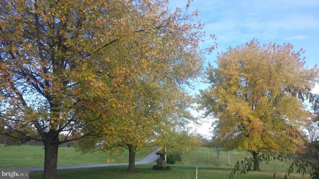 a view of deck with wooden floor and fence