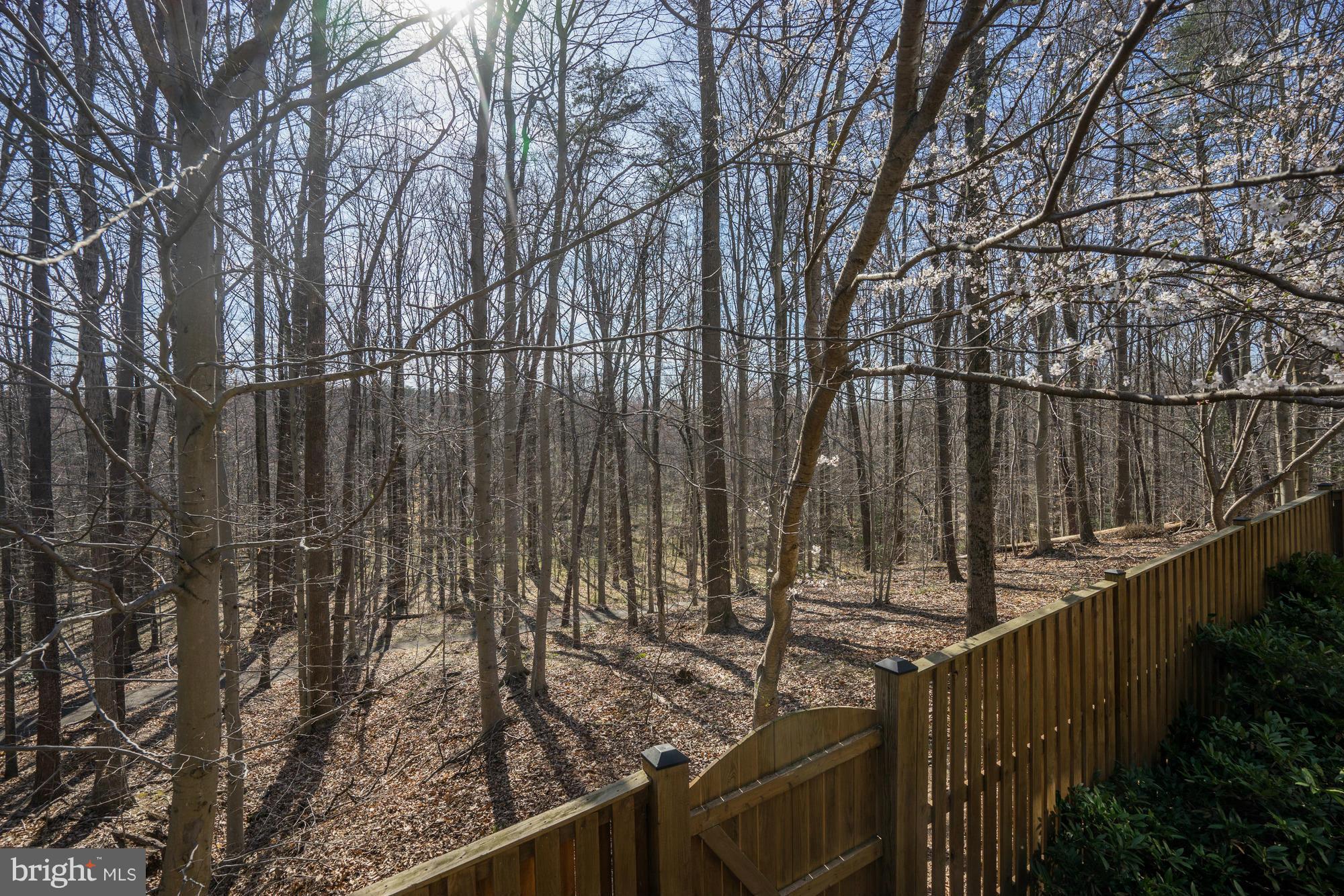 7415 Ridge Oak Court Springfield, VA 22153 - Photo 24 of 30 a view of street from deck