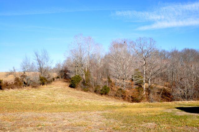 881 Coaling Road Charlotte, TN 37036 - Photo 14 of 20