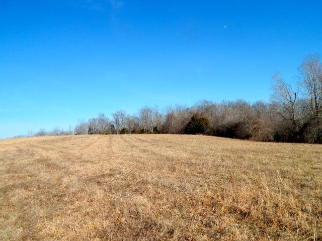 881 Coaling Road Charlotte, TN 37036 - Photo 16 of 20