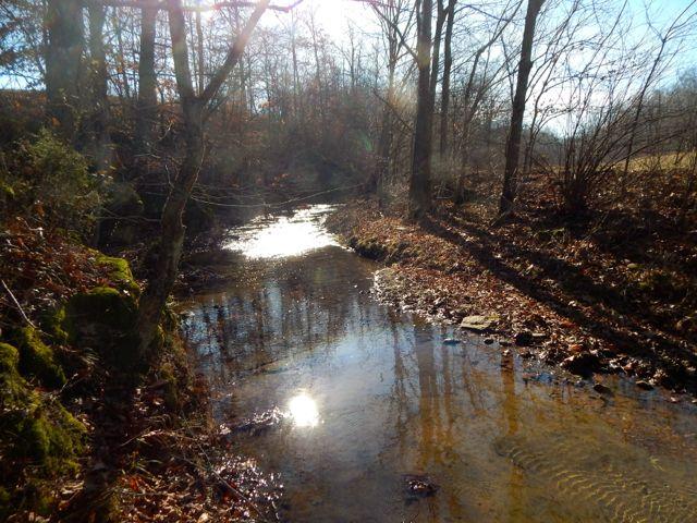 881 Coaling Road Charlotte, TN 37036 - Photo 17 of 20