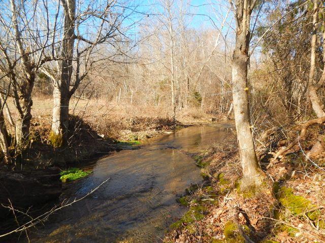 881 Coaling Road Charlotte, TN 37036 - Photo 18 of 20