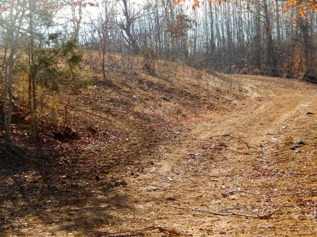 881 Coaling Road Charlotte, TN 37036 - Photo 19 of 20