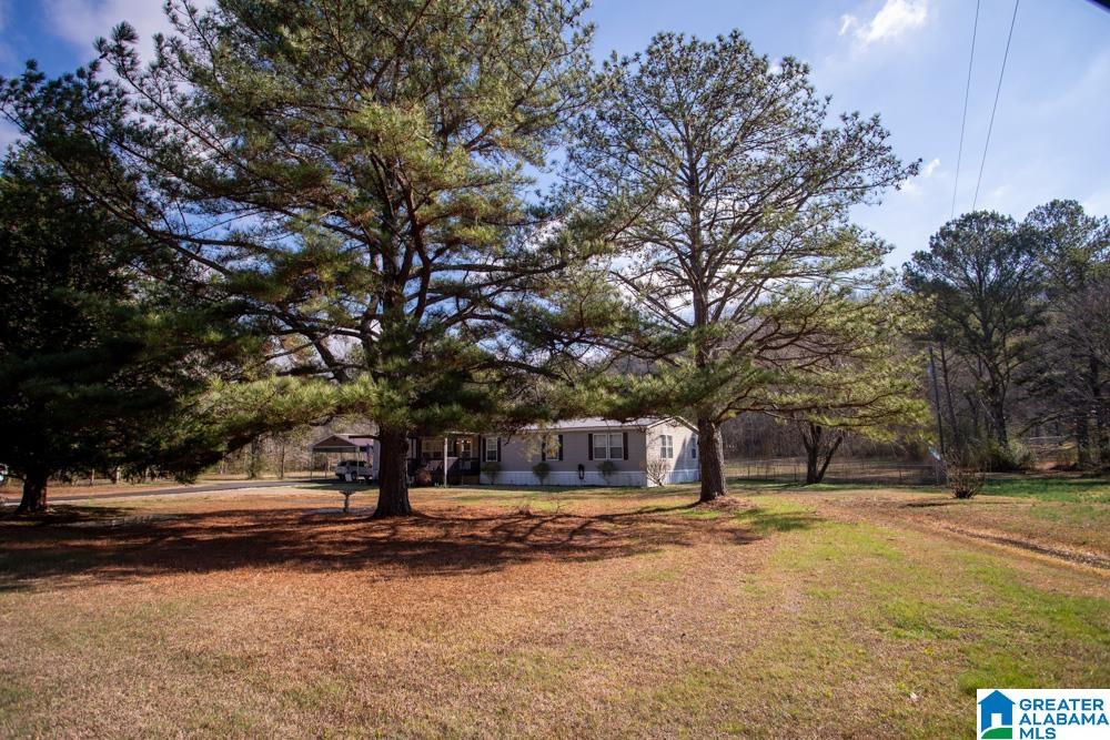 1028 Mt Gilead Road Jacksonville, AL 36265 - Photo 36 of 42