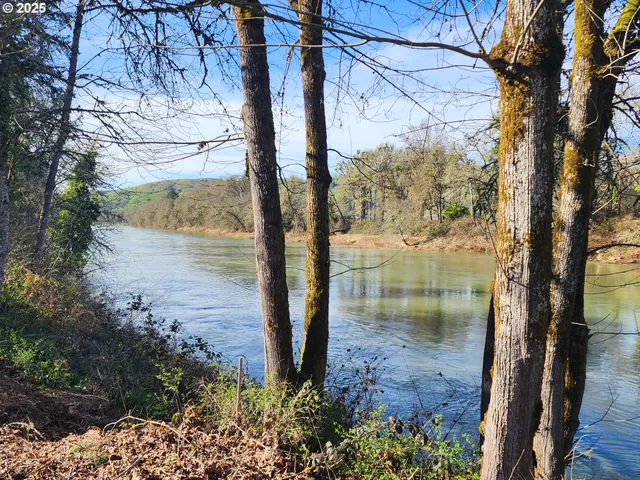 a view of a lake from a yard
