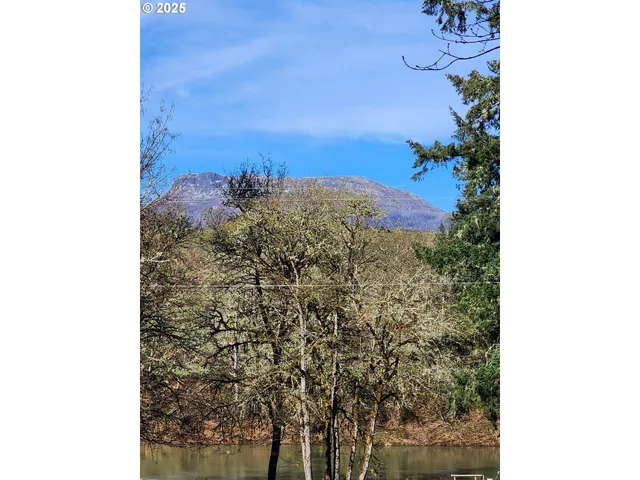 a view of a house with a yard potted plants and a large tree