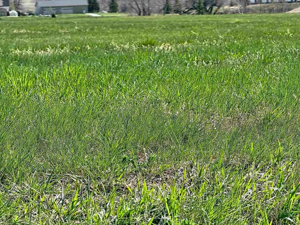 $219,000 | 7 Jade Court, Buffalo, WY 82834