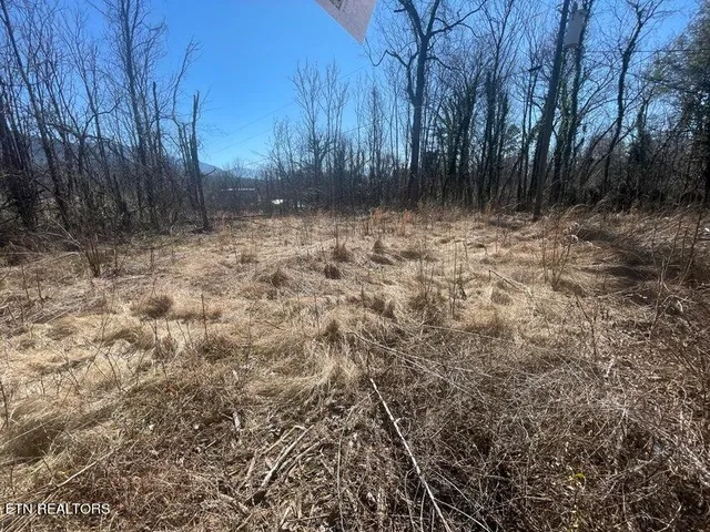 $5,300,000 | 630 Iris Hill Way, Newport, TN 37821