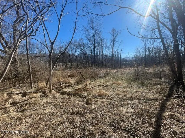 $5,300,000 | 630 Iris Hill Way, Newport, TN 37821