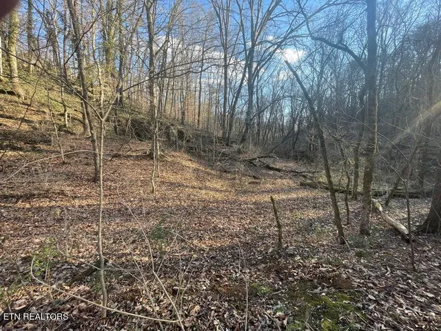 $5,300,000 | 630 Iris Hill Way, Newport, TN 37821