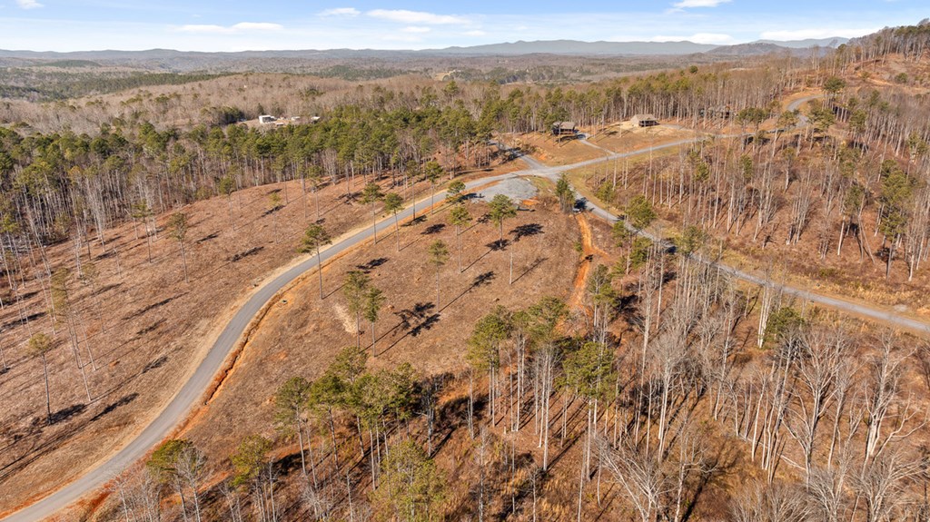Lot 293 Twisted Oak Road Talking Rock, GA 30175 - Photo 6 of 46 Gallery Image 6