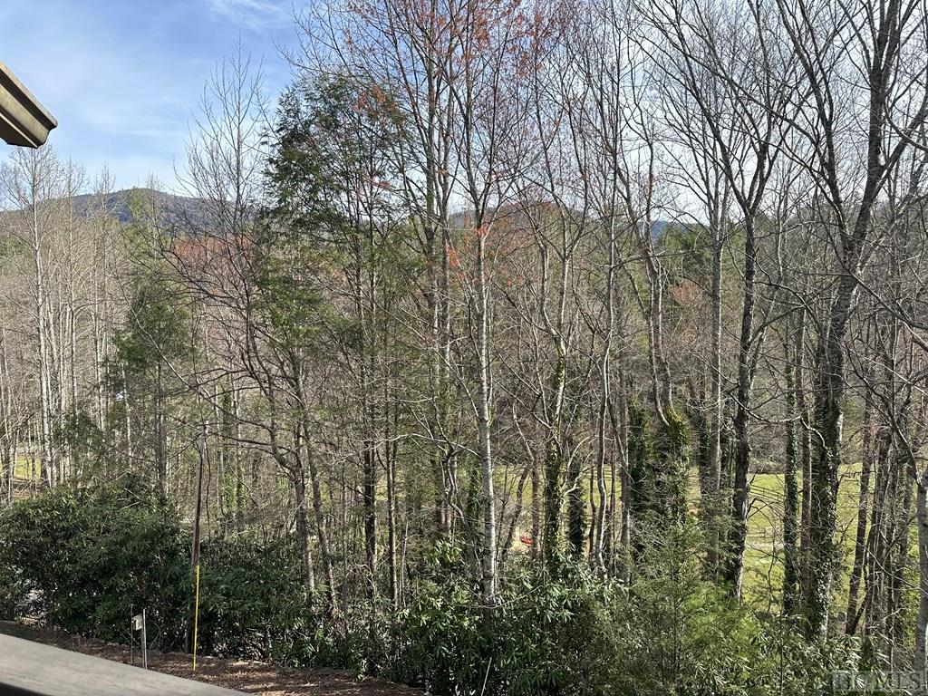 786 Blue Valley Road Highlands, NC 28741 - Photo 26 of 29 Gallery Image 26