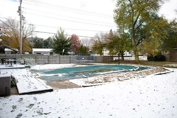 a view of a yard with plants and trees