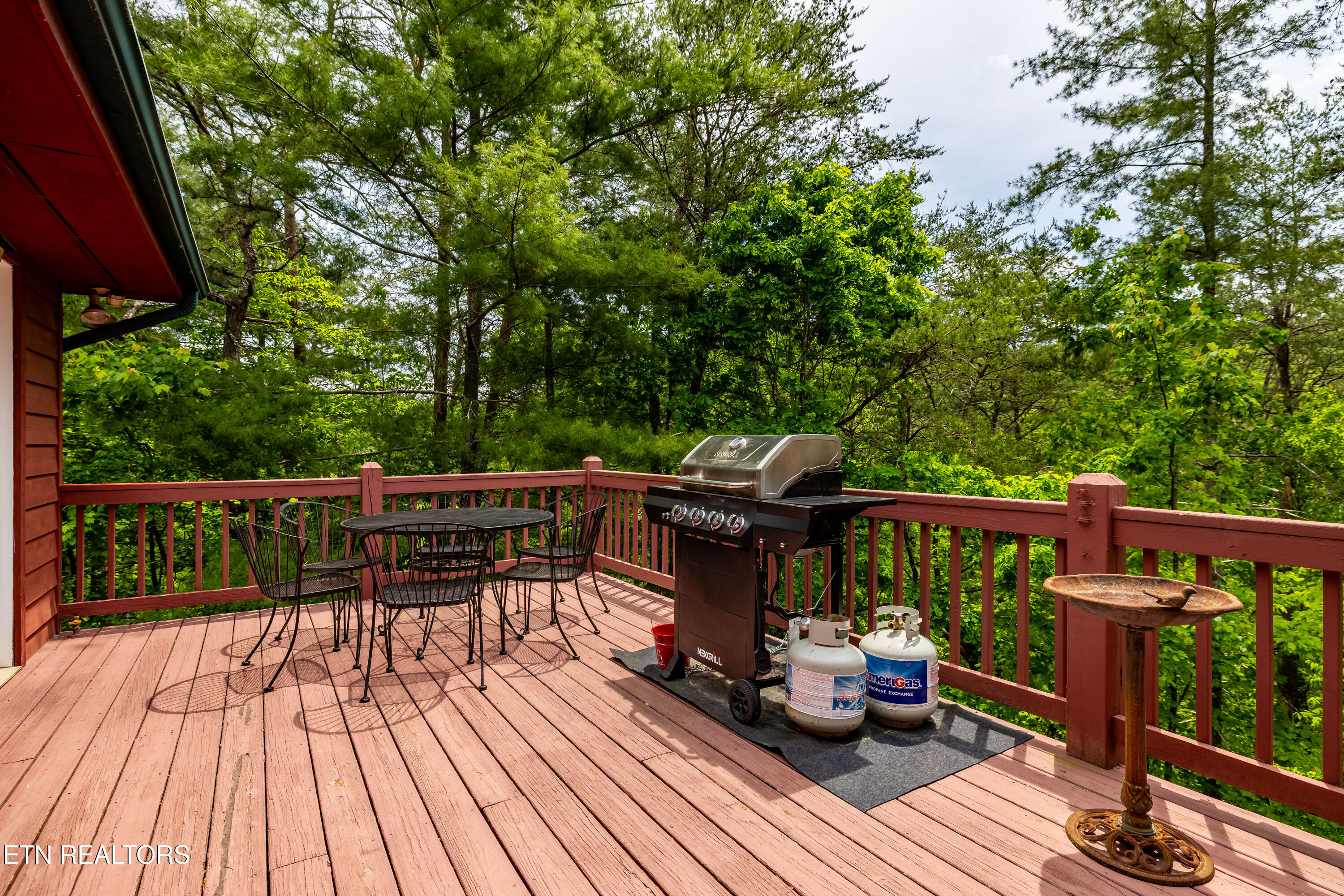 229 Cobblestone Way Townsend, TN 37882 - Photo 37 of 50 229CobblestoneWay-31