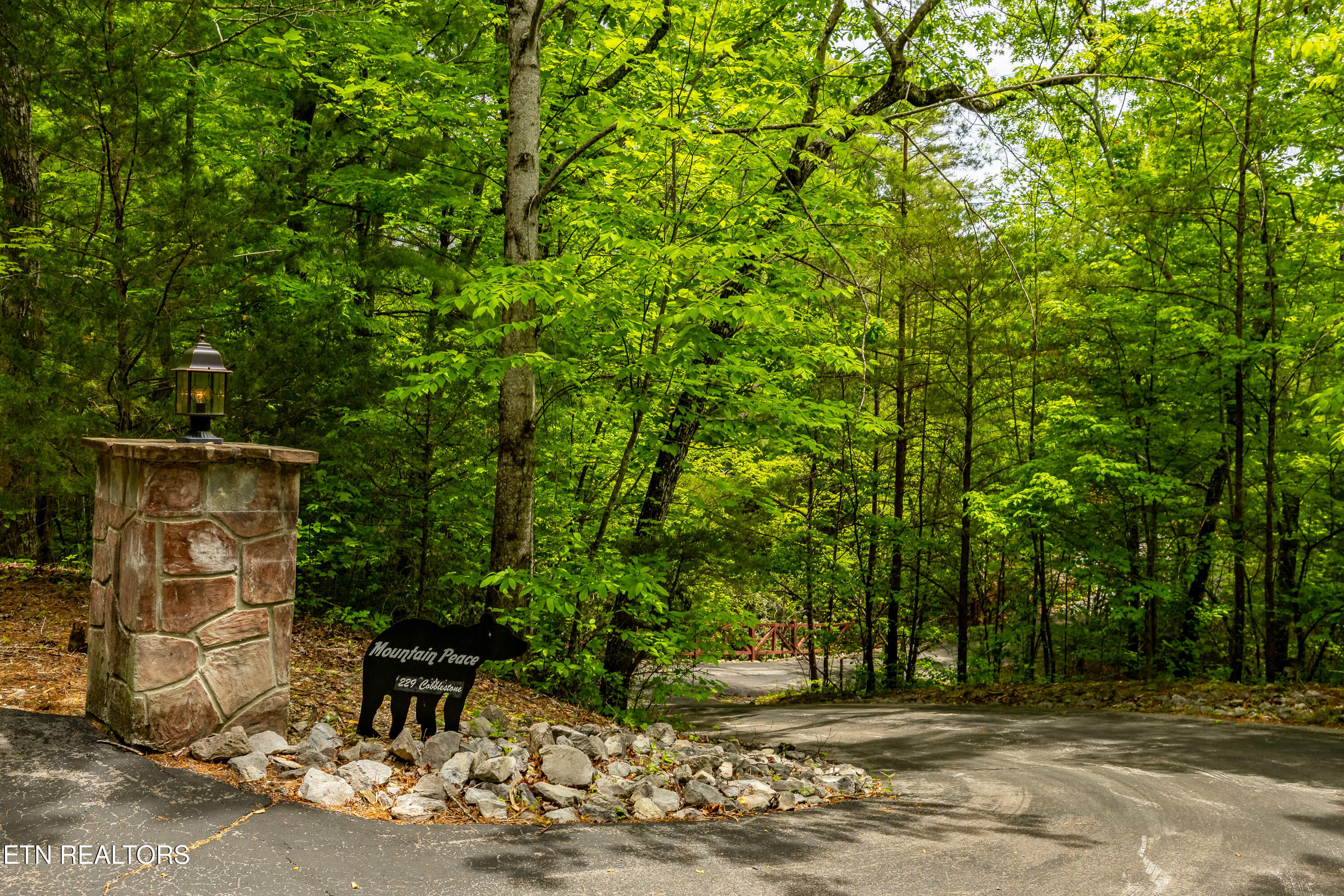 229 Cobblestone Way Townsend, TN 37882 - Photo 45 of 50 229CobblestoneWay-49