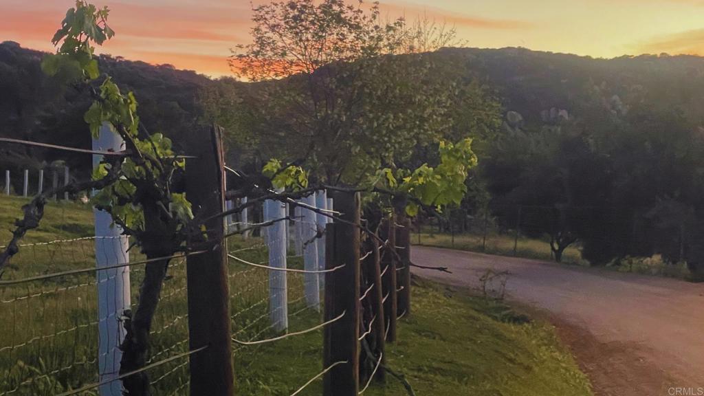 22002 Lyons Valley Road Alpine, CA 91901 - Photo 56 of 63