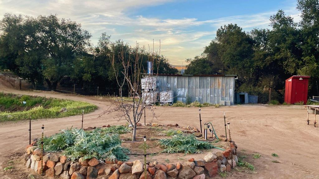 22002 Lyons Valley Road Alpine, CA 91901 - Photo 60 of 75 a view of a backyard with plants