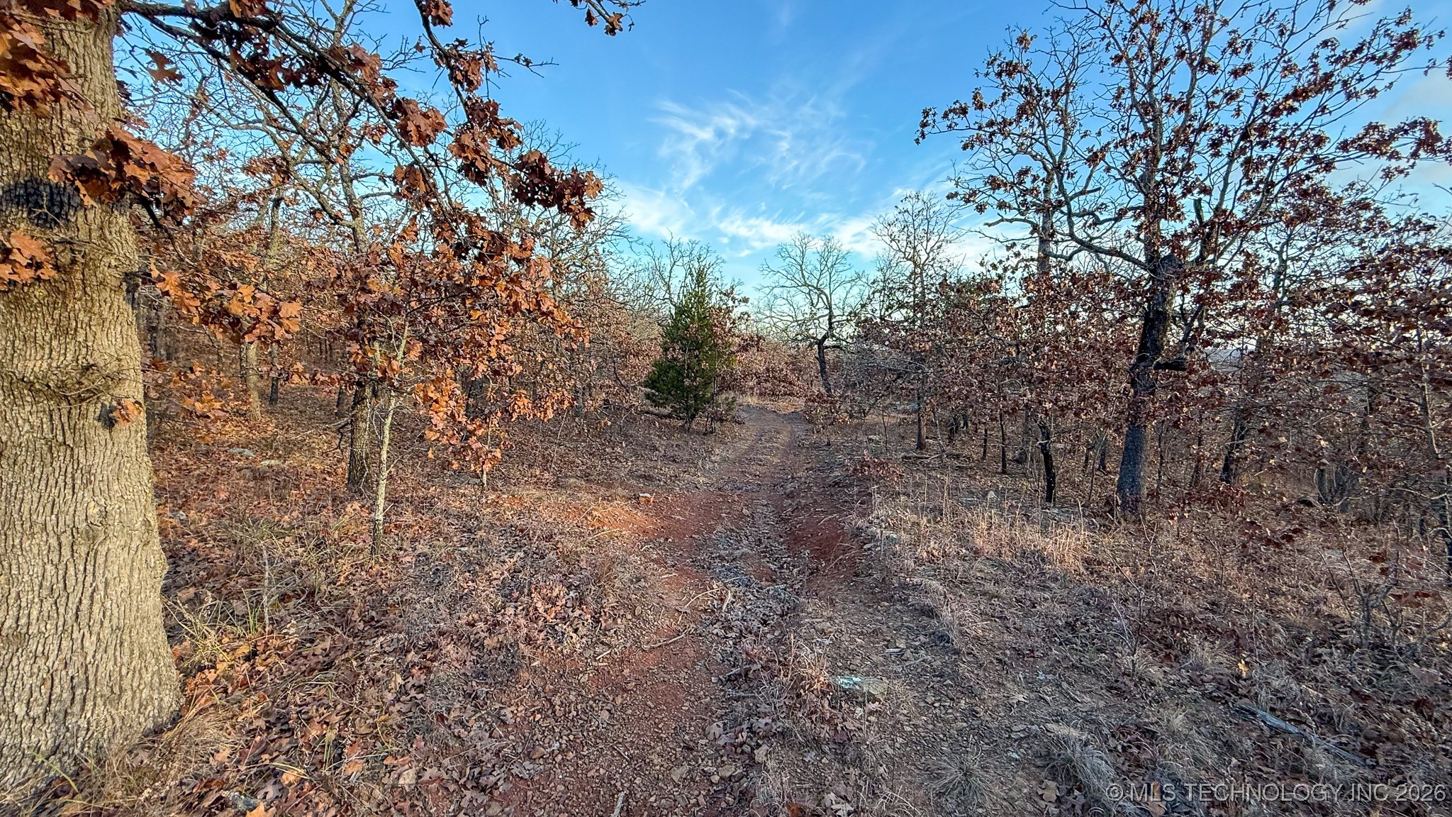 1100 Etchison Road Quinton, OK 74561 - Photo 63 of 100 Gallery Image 63