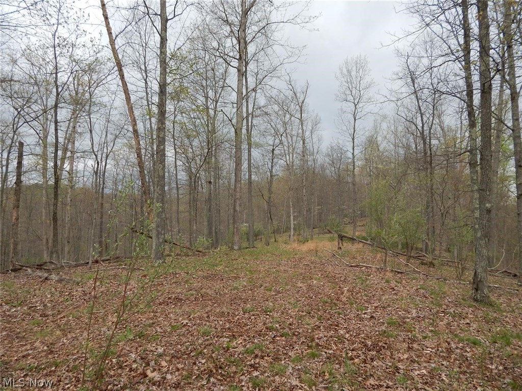 3035 Pullman Road Harrisville, WV 26362 - Photo 29 of 31