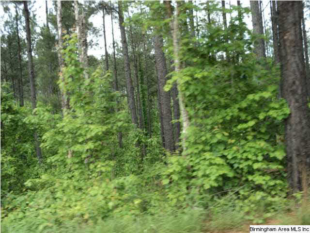 485 County Road, Unit 110 Clanton, AL 35046 - Photo 12 of 22