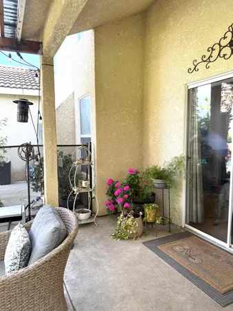 a bunch of flowers are in a garden