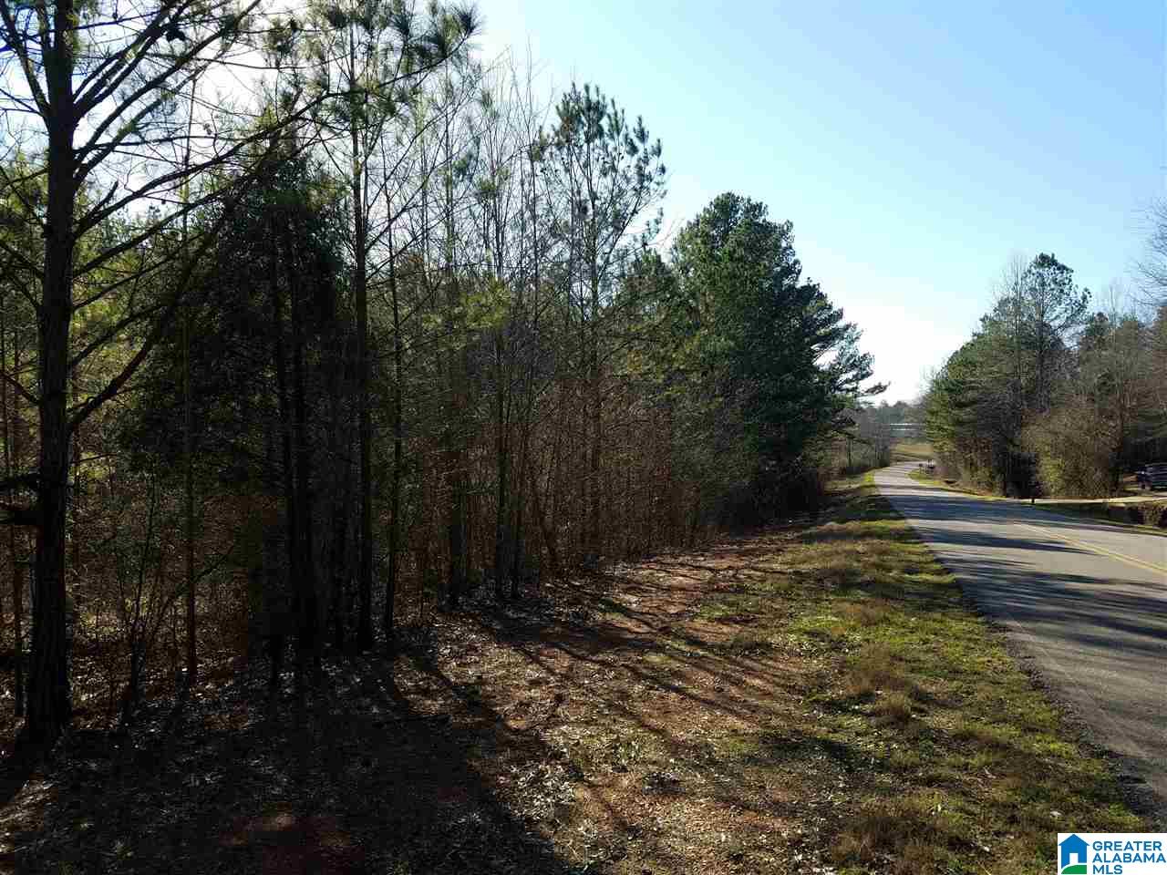 0 Cove Access Road, Unit 7 ACRES Talladega, AL 35160 - Photo 14 of 19