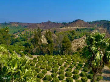 a view of a lush green hillside and a houses