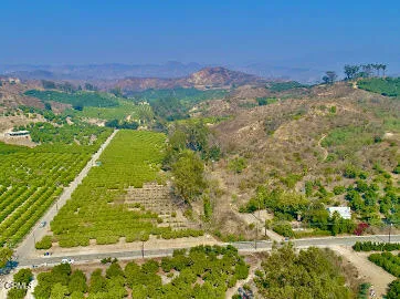 a view of a city with an ocean