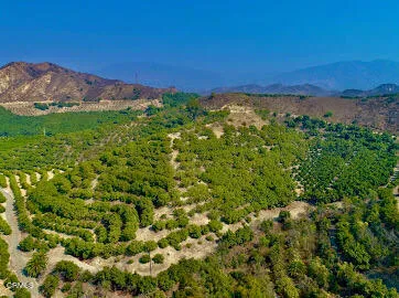 a view of a green field