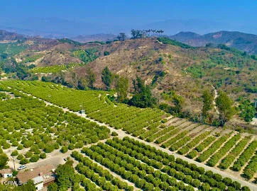 a view of a field with an ocean