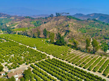 0 Foothill Road Santa Paula, CA 93060 - Photo 7 of 9 a view of a field with an ocean