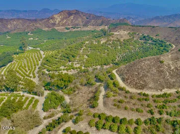 a view of a lush green field with mountains in the background
