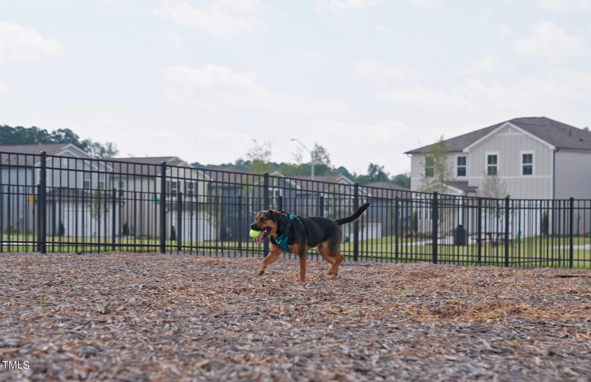 1489 Rhodes Pond Street Wendell, NC 27591 - Photo 17 of 19 MM Dog Park