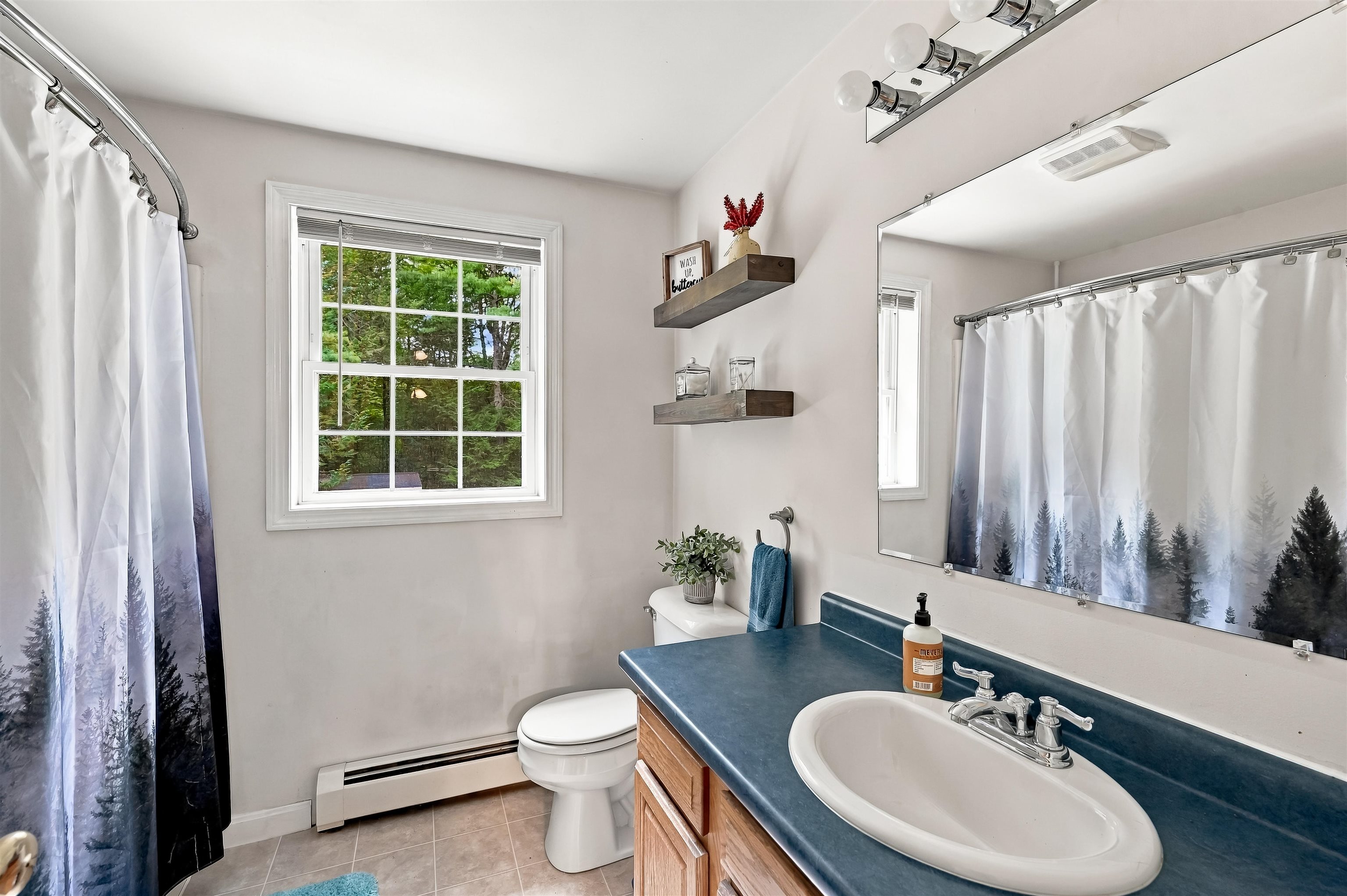 4 Lemon Tree Road Raymond, NH 03077 - Photo 39 of 47 Gallery Image 39