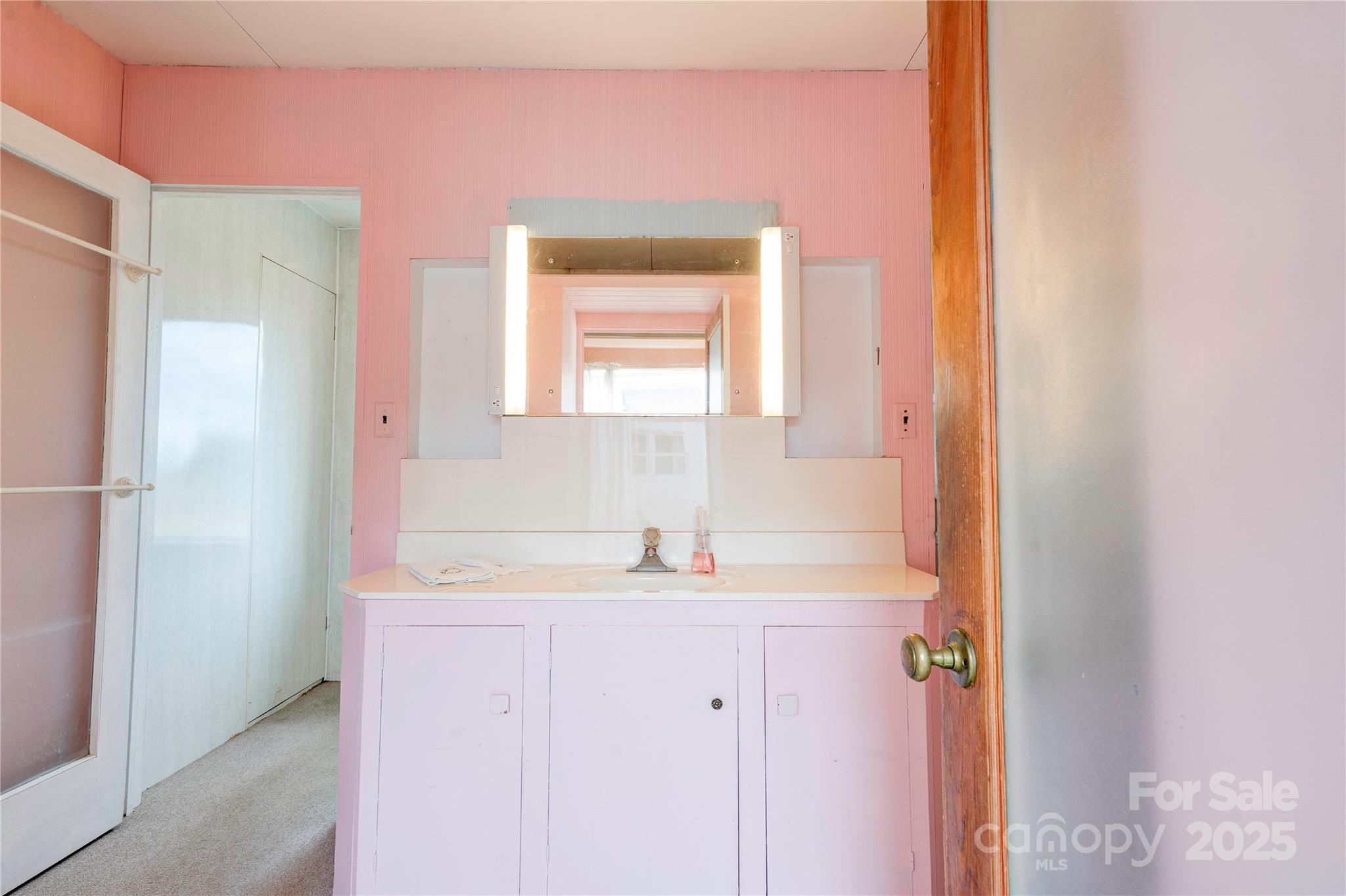 3809 Polkville Road Shelby, NC 28150 - Photo 25 of 48 a bathroom with a sink and a mirror